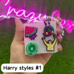 Harry styles set #1 Pines-charms