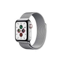 Milanes silver-case + correa 38mm