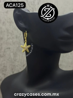 Arracada de acero inoxidable- Estrella d...